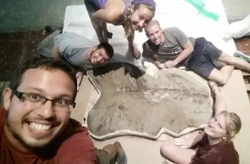 Jorge Moreno Bernal and Fall 2014 field interns Daniel Mercado, Lillian Pearson, Adam Freierman, and Hannah O’Neill prepare a fossil marlin jacket that is currently housed in the BioMuseo. Photo courtesy of Daniel Mercado.