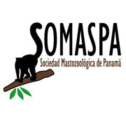 Sociedad Mastozoologica de Panama / Panama Mammal Society (SOMASPA) logo