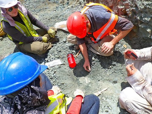 Horse Jaw Excavation: A Photo Essay