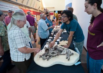 PCP PIRE PhD student Aldo Rincon and PCP PIRE preparator and former intern Sarah Widlansky talk with members of the public about the cast of a fossil dugong found in Panama. © Florida Museum photo by Jeff Gage.