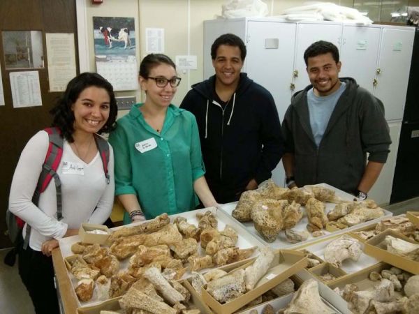 A group photo of the museum interns working in paleobiology, from left to right: Ariel Guggino, Andrea De Renzis, William Tifft, Justy Alicea. Photo by Nathan Jud.
