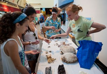 PhD student Carly Manz (right) and Vertebrate Paleontology Assistant Collections Manager Kristen MacKenzie (center) help with fossil identification. © Florida Museum photo by Jeff Gage.