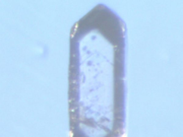 Figure 3: Zircon with a width of 78 micrometers. Photo by Gephen Sadove.