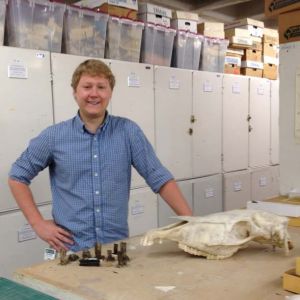 Sean Moran with a modern horse skull and assorted fossil teeth from the horse evolution module. © Photo by Cristina Robins