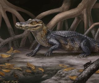 Artistic rendering of Culebrasuchus mesoamericanus, the most primitive known caiman, described by Hastings et al., 2013. © Art by Danielle Byerley.