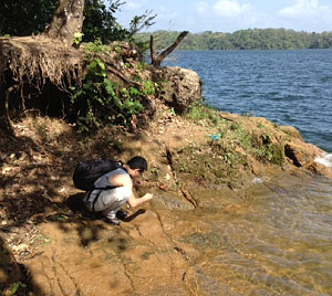 Aldo Rincon looking for fossils along the edge of a lake, Panama. © Photo by Douglas Jones