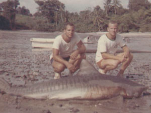 John Turner (left) with a tiger shark that he and Charlie Cross (right) caught at the southern tip of Rey Island in the Pearl Islands in July, 1964. © Photo courtesy of J. Turner.