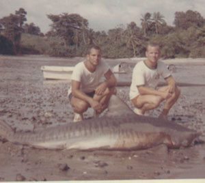 John Turner (left) with a tiger shark that he and Charlie Cross (right) caught at the southern tip of Rey Island in the Pearl Islands in July, 1964. © Photo courtesy of J. Turner.