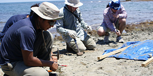 Carlos De Gracia (left) excavating a specimen with Federico Moreno, Jorge Moreno and Carlos D’apolito (from left to right) © Photo by Juan David Carrillo.