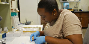Chanika Symister working in the lab. © Photo by Luz Helena Oviedo.