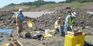 Principal investigators Gary Morgan, Jonathan Bloch and Bruce MacFadden screenwashing at the Hodges Microsite. © Photo by Aldo Rincon.