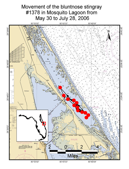 Map of bluenose movement