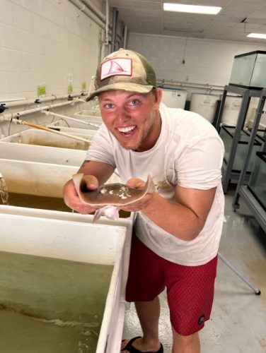 Man holding stingray over tank in a lab