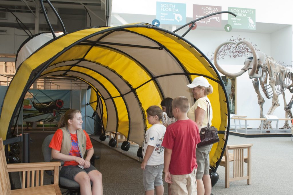 group of visitors including several children stand at the entrance of the Amazing butterfly exhibit