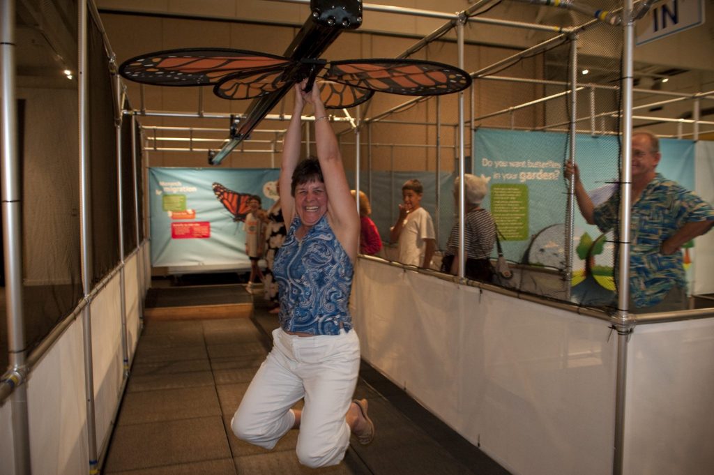 visitor using interactive display