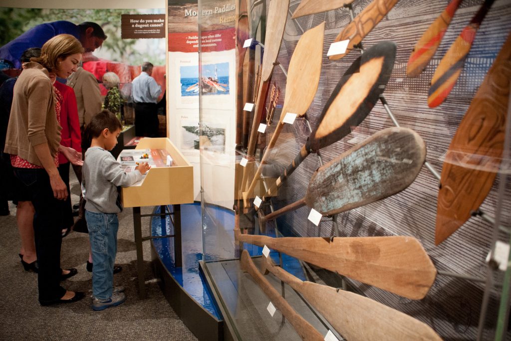 young visitor looking a display next to display case containing many styles of wooden canoe paddles
