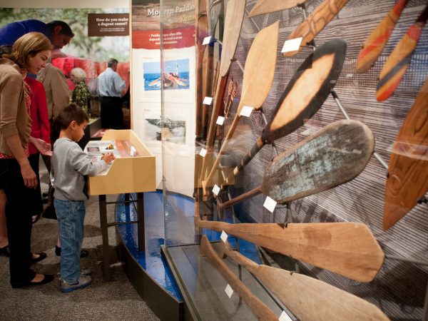 young visitor looking a display next to display case containing many styles of wooden canoe paddles