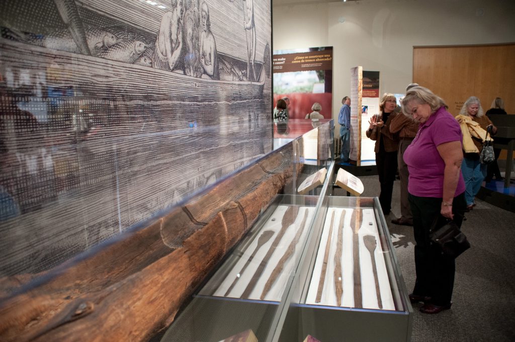 visitor looking at wooden canoe paddles in display case
