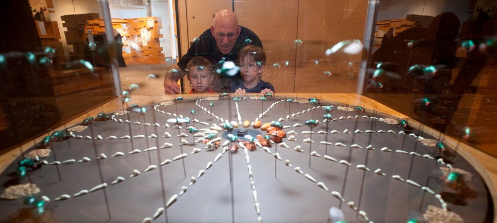 Adult and two children looking at insect display in the Crime Scene Insects exhibit