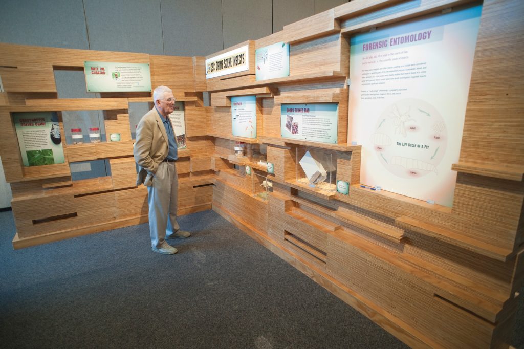 visitor looking at displays in Crime Scene Insects exhibit