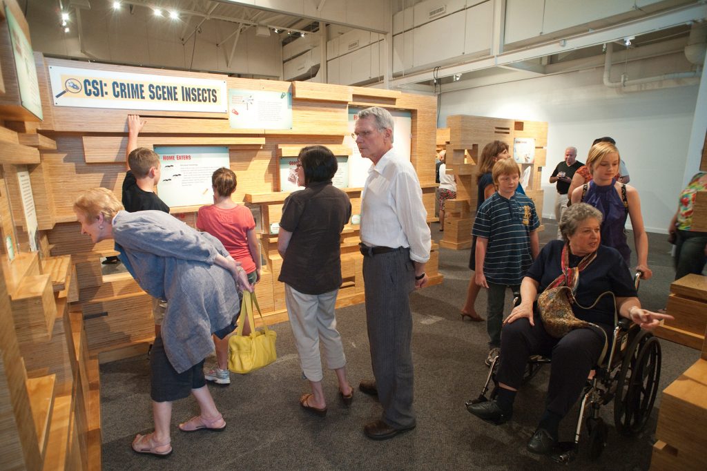 many visitors looking at many items on display