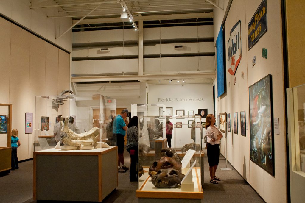 Visitors in the exhibit hall looking at fossils in display cases and artwork on the walls