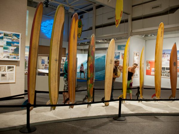 visitors look at a row of tall surfboards