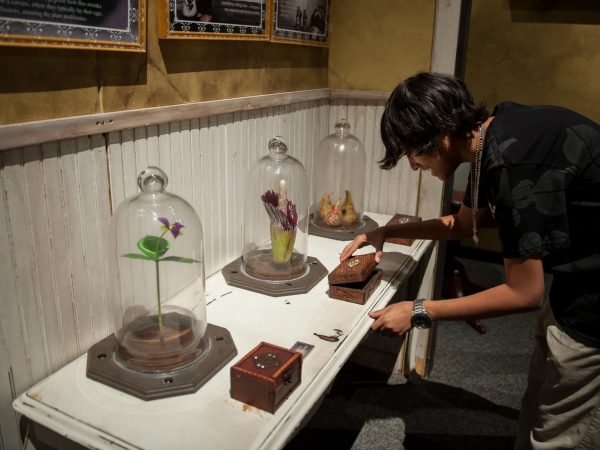 person opening a wooden box set in front of a display showing poisonous plants