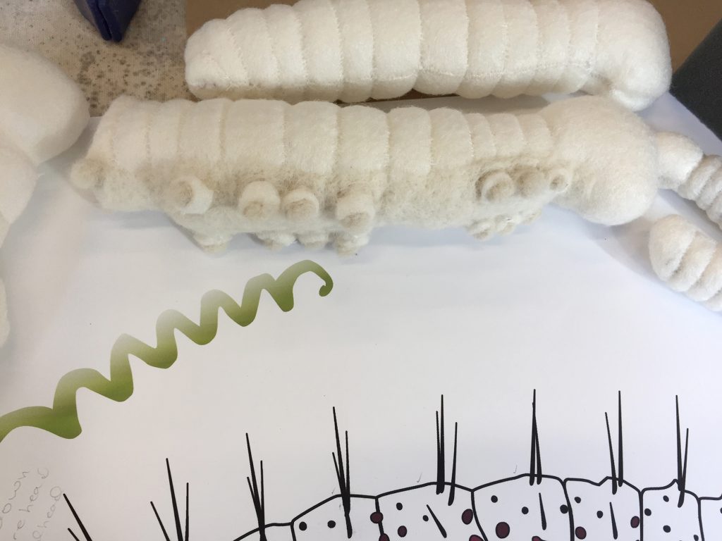 Caterpillar felting