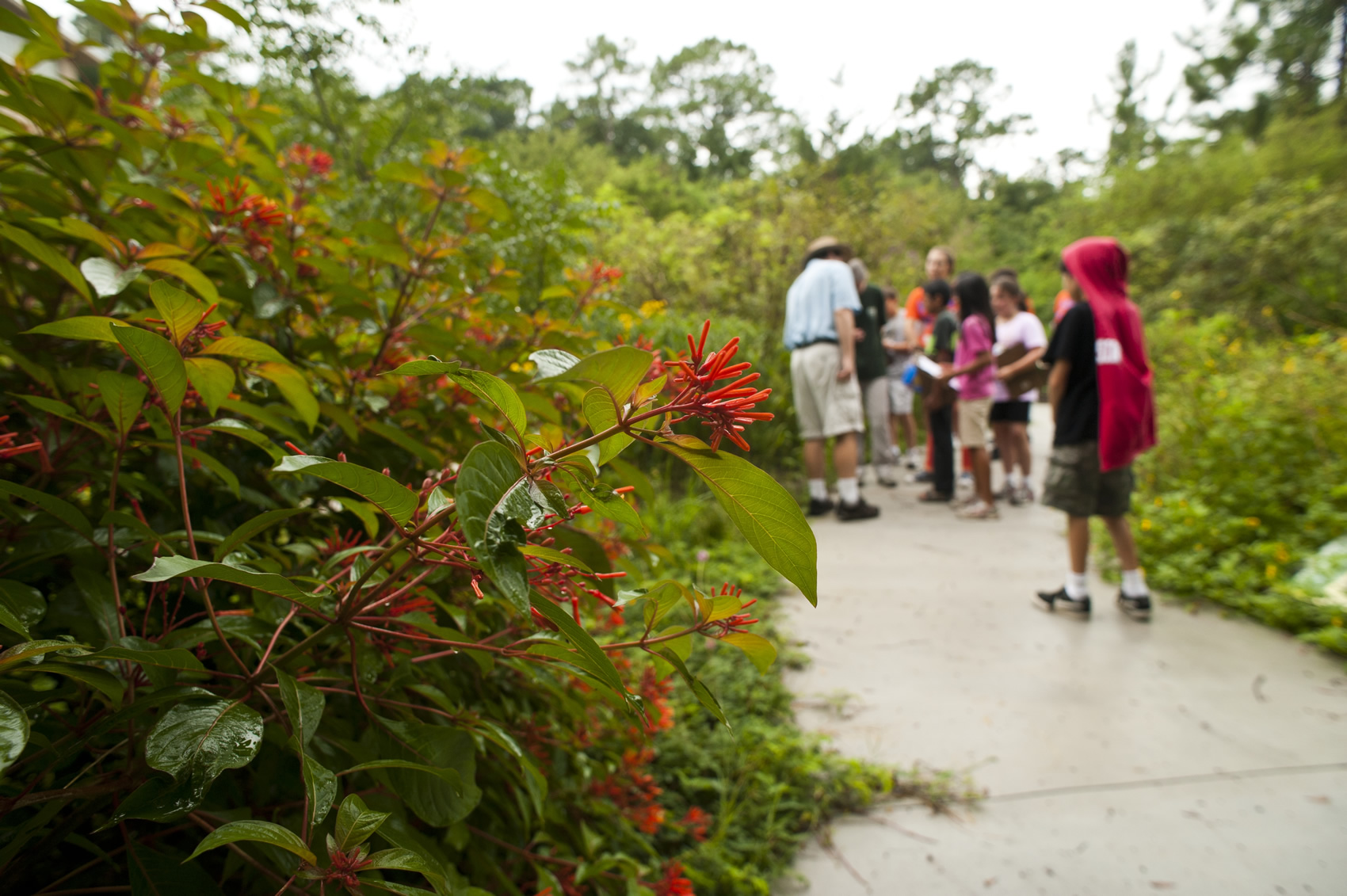 Florida Wildflower Butterfly Garden Exhibits