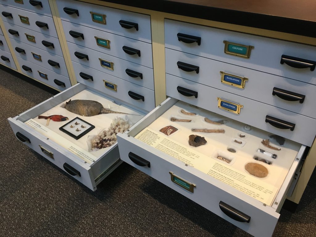 discovery drawers