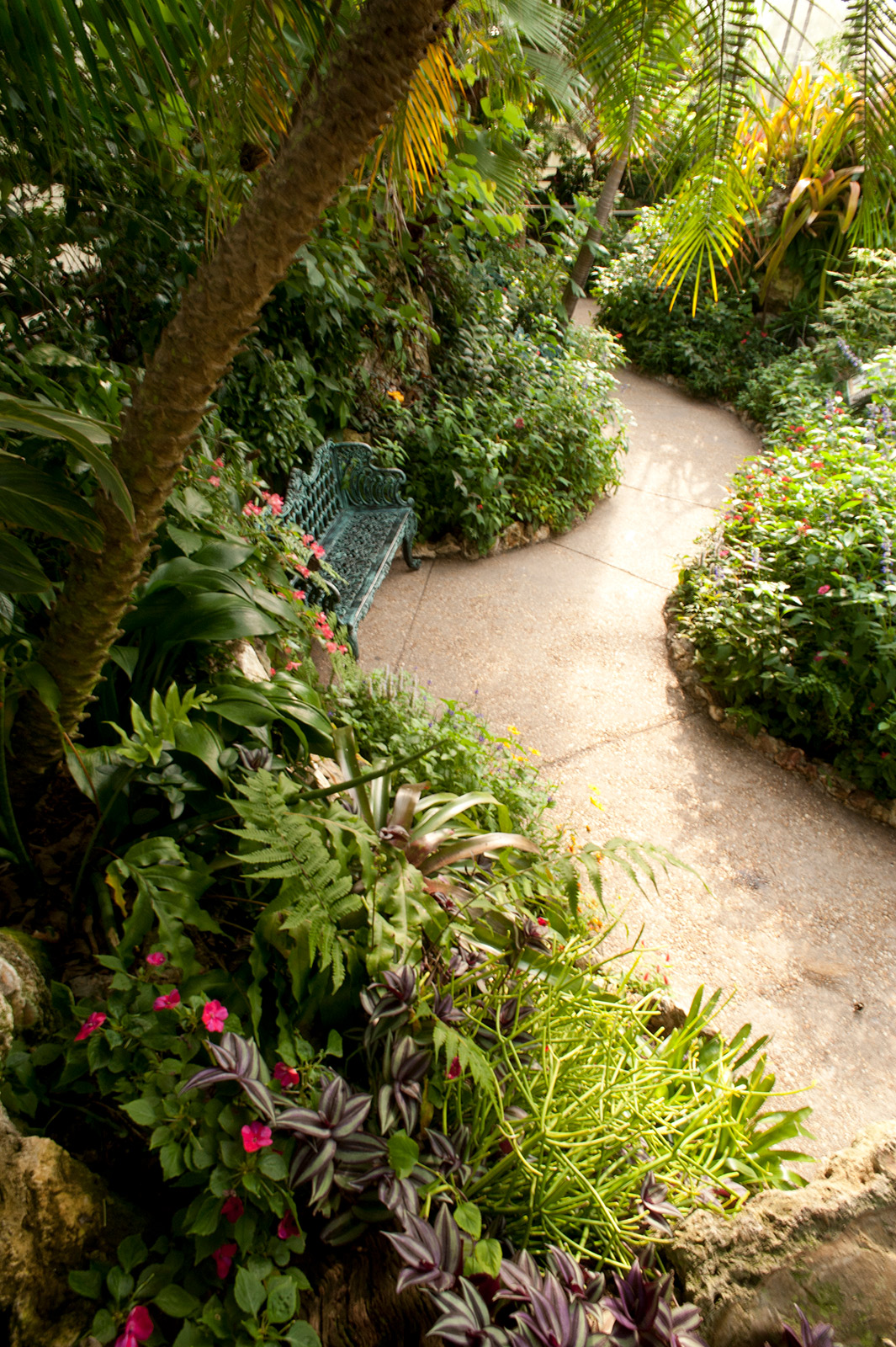 Butterfly Rainforest Exhibits