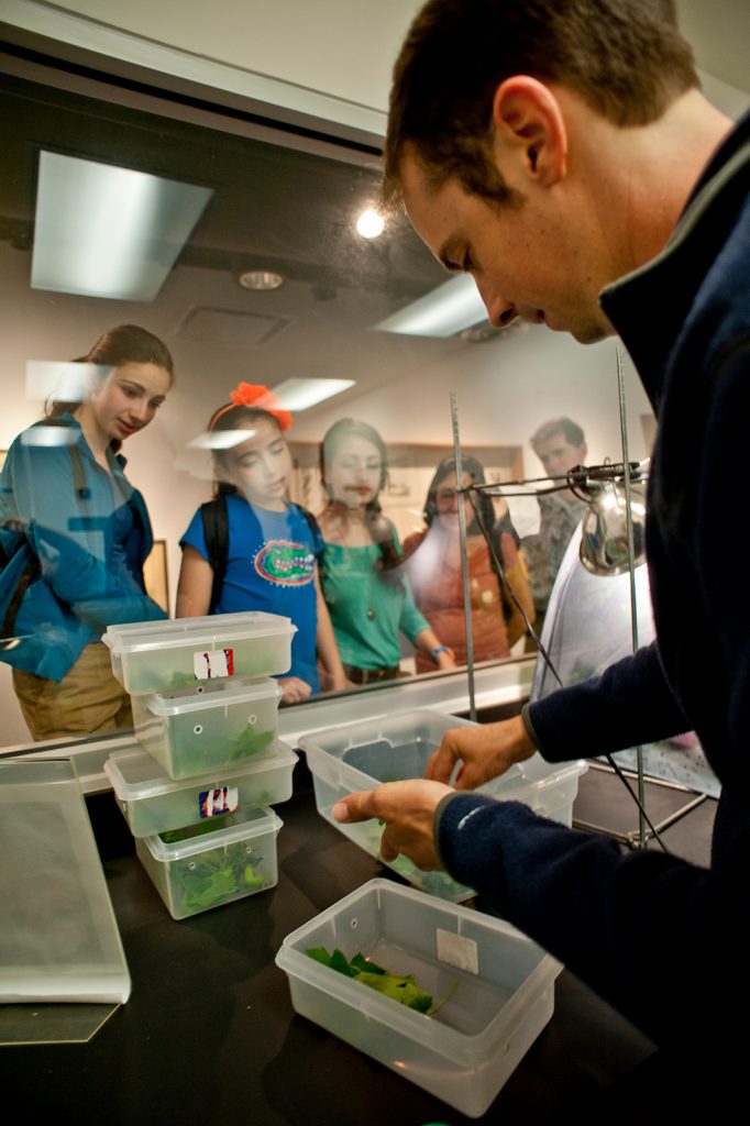 Work in rearing lab