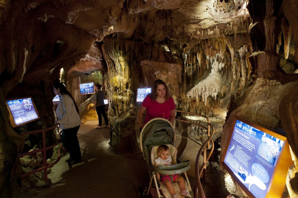 Cave in NW Florida exhibit