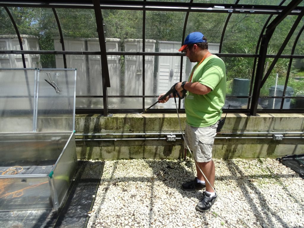 Greenhouse cleaning, May 2017