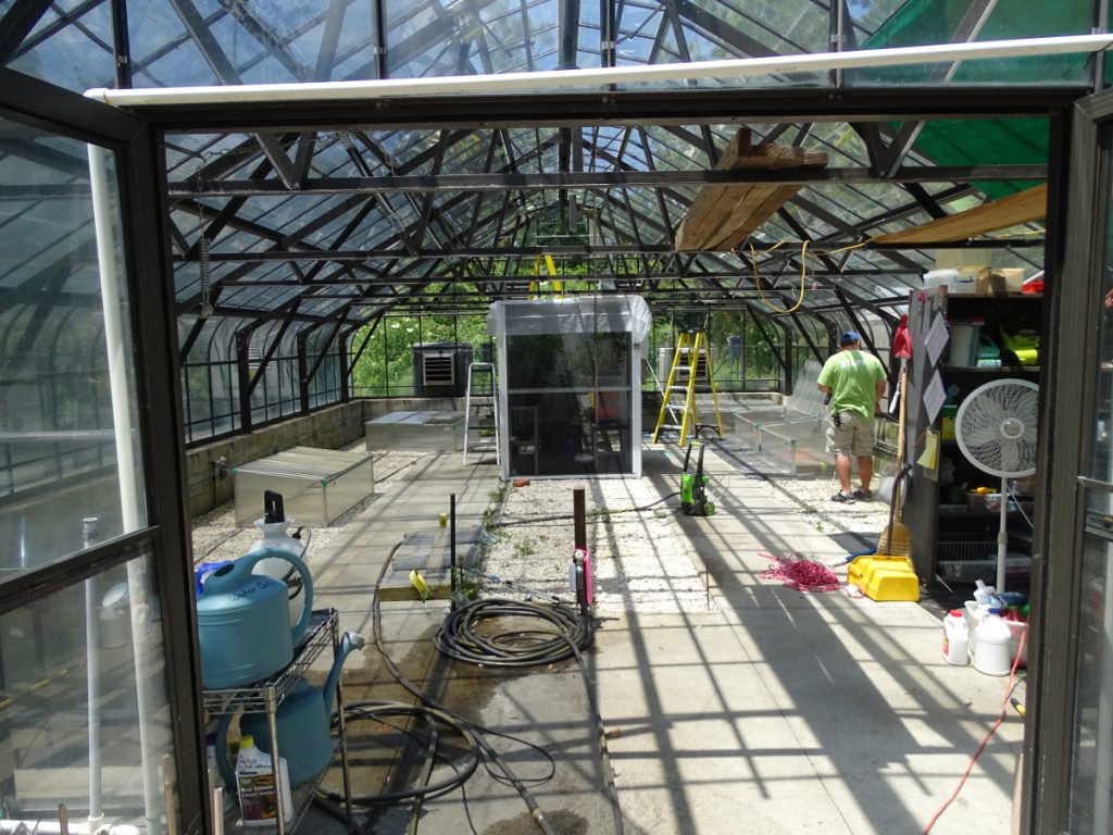 Greenhouse cleaning, May 2017