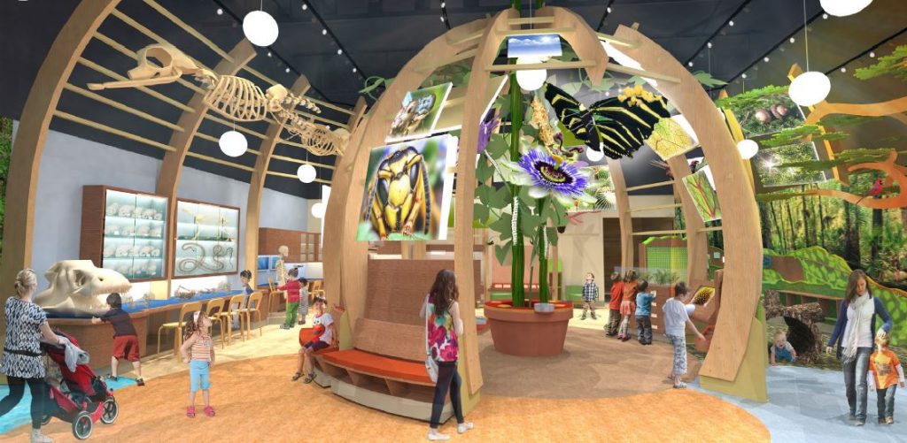 Discovery Zone Exhibits