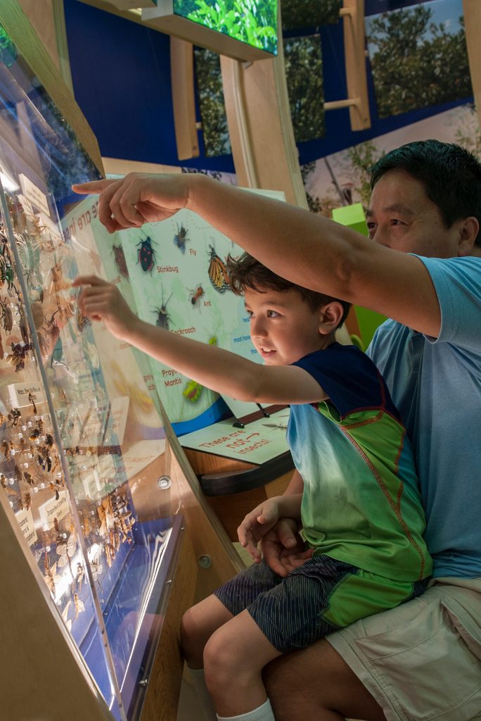 family exploring moths