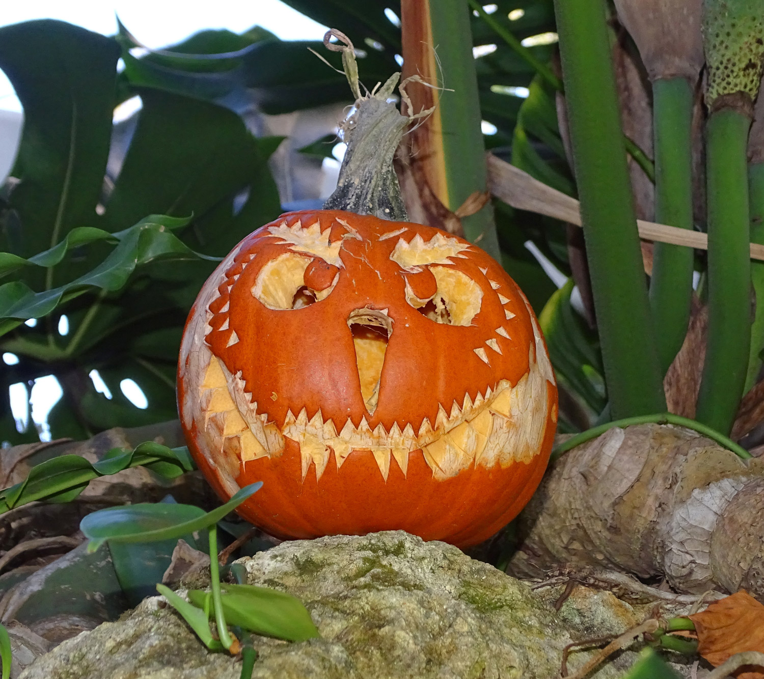 Legend of the Hidden Pumpkin – Exhibits