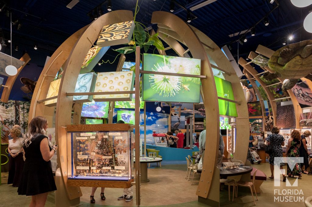 Interior of exhibit