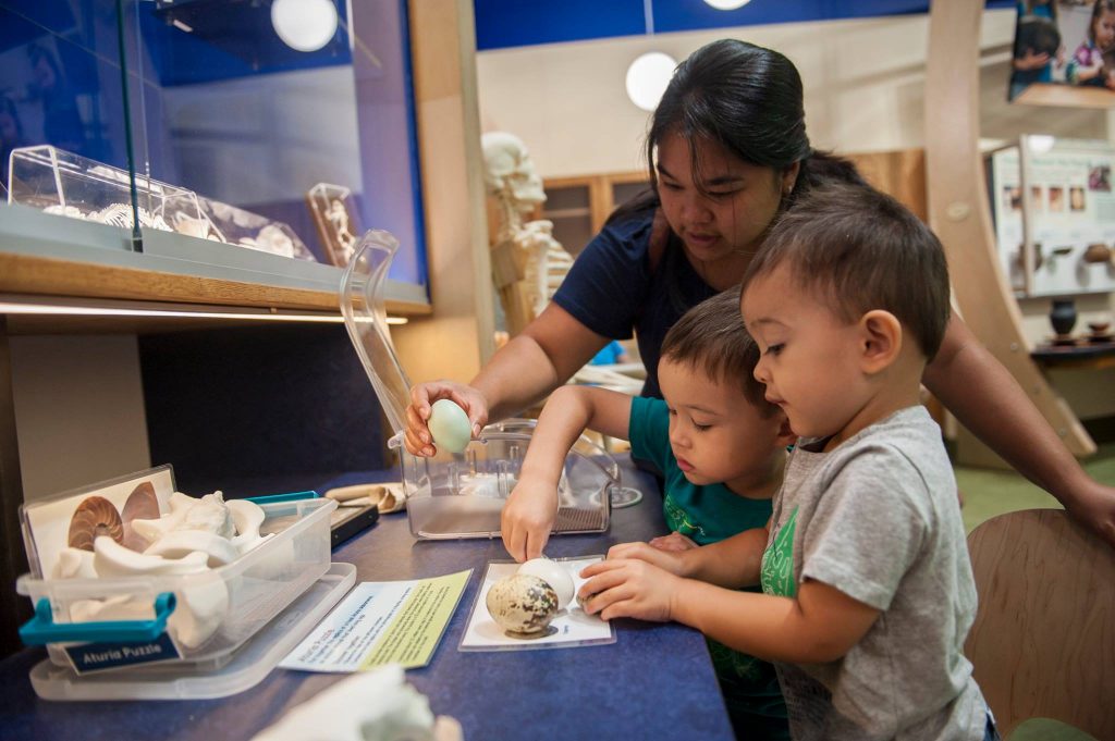 children exploring the exhibit