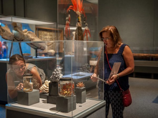 Victors looking coral and sea creatures on display, sever specimens are in glass specimen jars