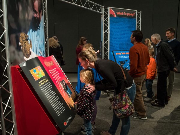 visitors, adult and children, read dispay information in the Scoop on Poop exhibit.