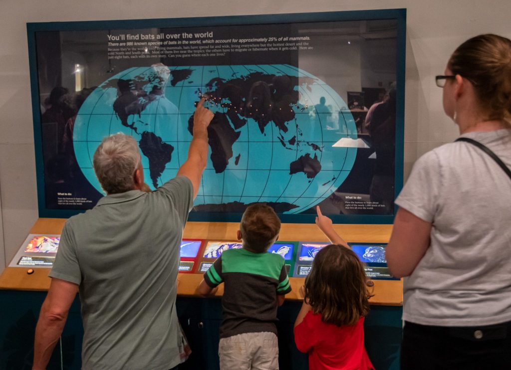 several people looking at a world map showing where bats live