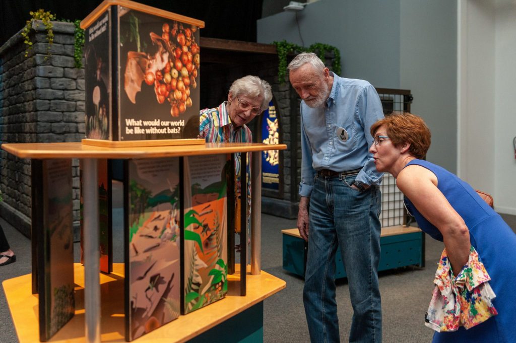people leaning forward and readying a display about bats