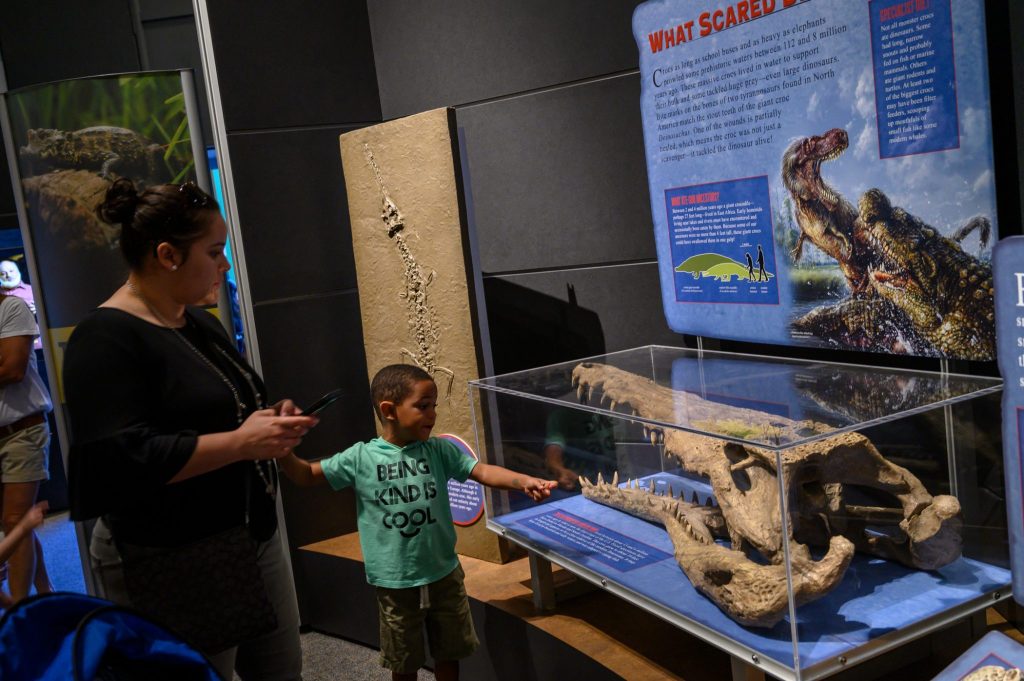 young child points to crocodile skull in a display case