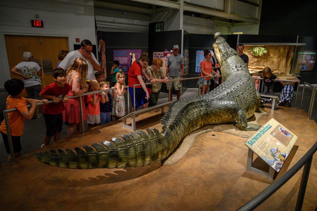 people gathered around a large model of a saltwater crocodile