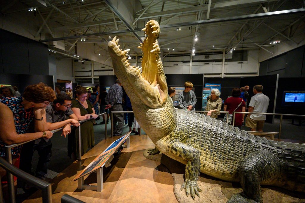 visitors stand around a display of a large crocodile model and read the display panels