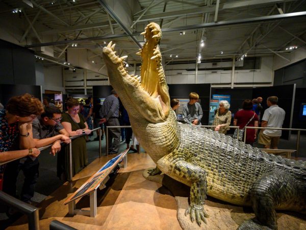 visitors stand around a display of a large crocodile model and read the display panels