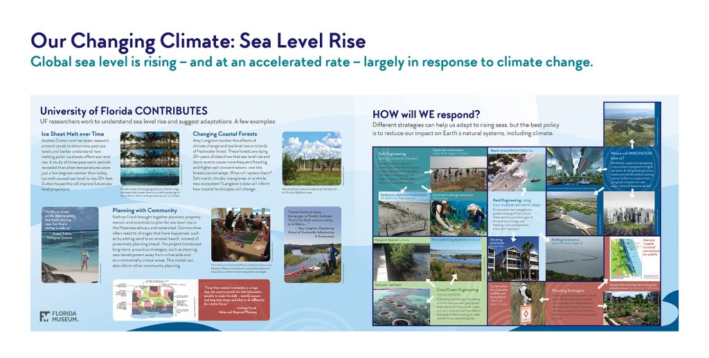 exhibit panel showing UF's contributions and response to sea level rise